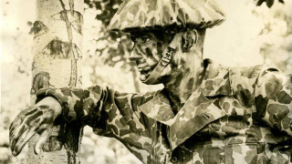 Illustration for article titled The History of Invisibility and the Future of Camouflage